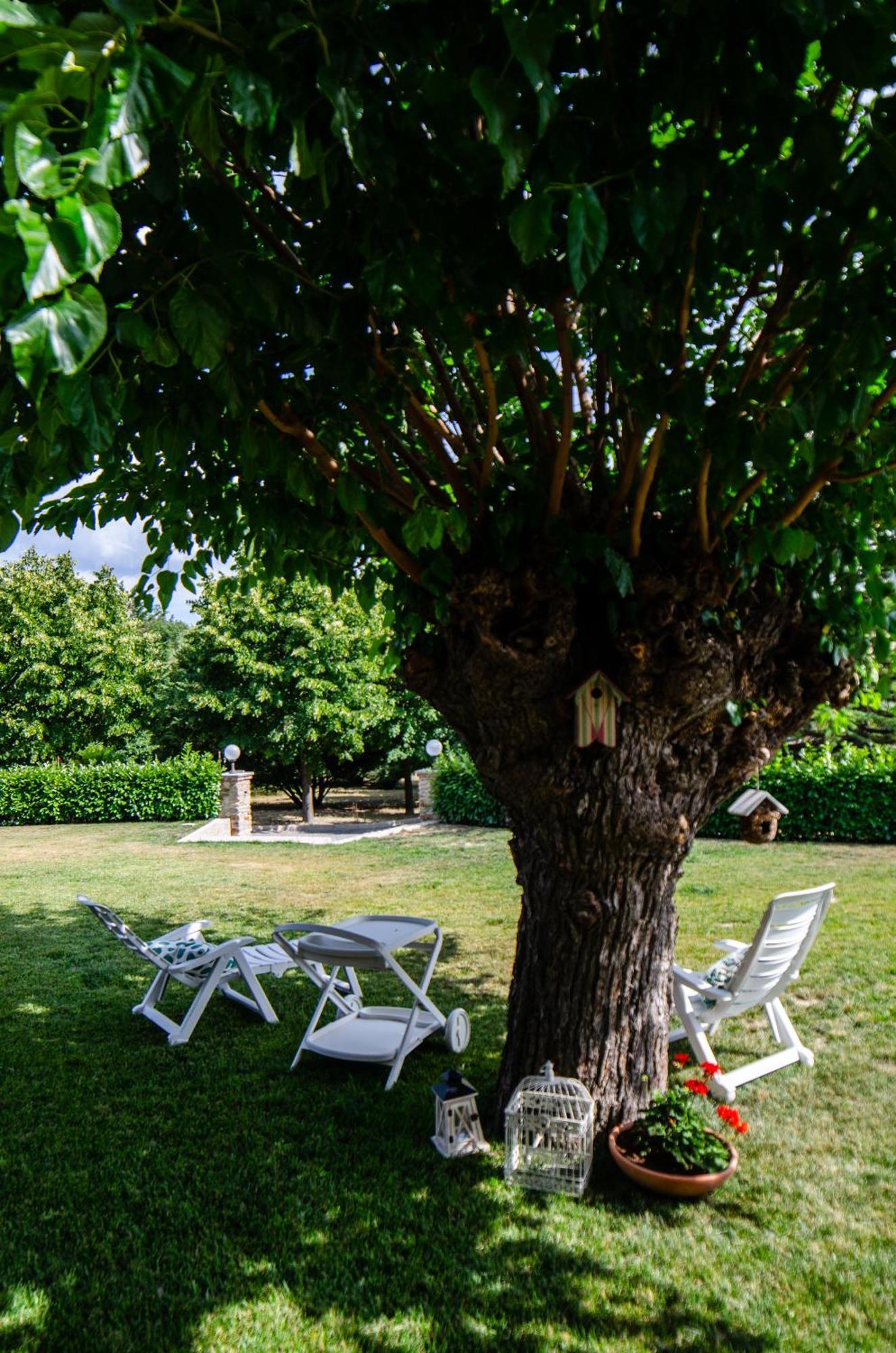 Cascina Il Gelso Bed and Breakfast Mornese Buitenkant foto