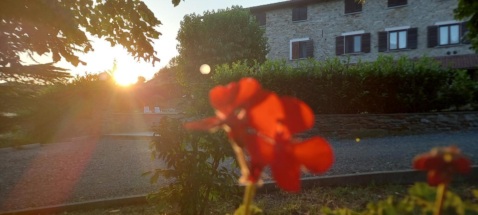 Cascina Il Gelso Bed and Breakfast Mornese Buitenkant foto